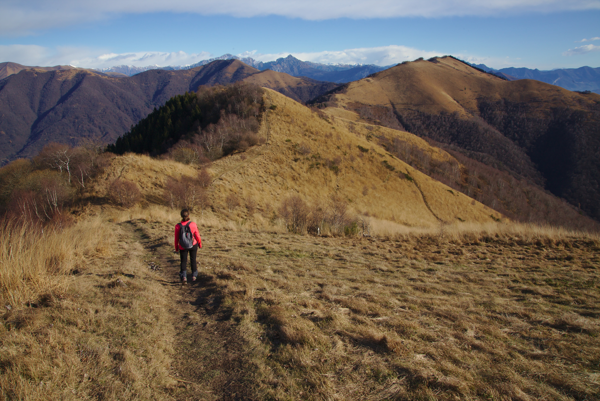 Monte Boletto da Civiglio 4 piedi 1 polenta